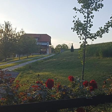 Stari Trsic公寓 外观 照片
