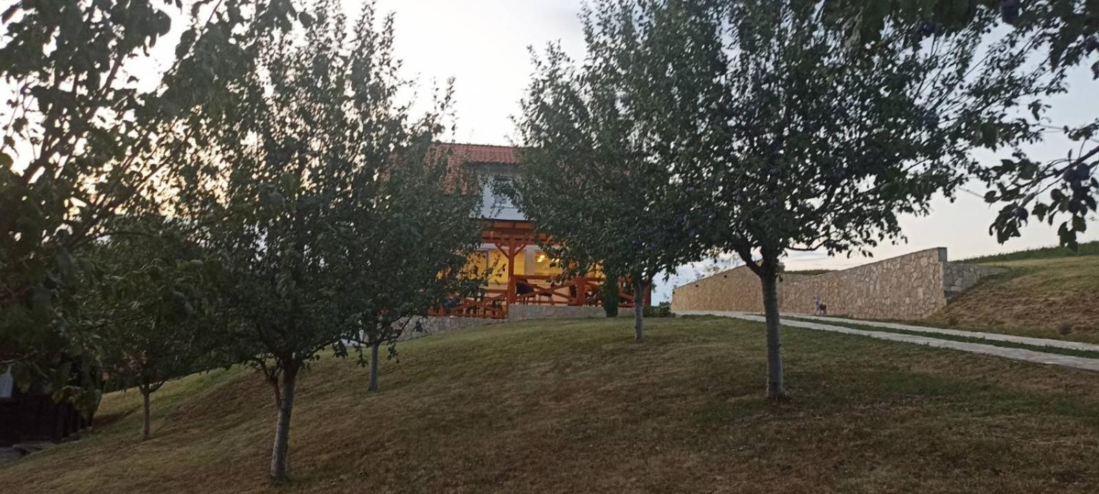 Stari Trsic公寓 外观 照片